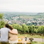 Hotel Weinzuhause Hotel-restaurant-vinothek Mommenheim