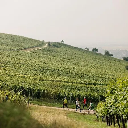 Weinzuhause Hotel-restaurant-vinothek Mommenheim