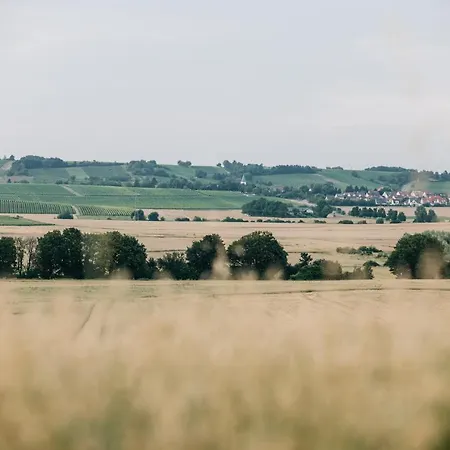 Weinzuhause Hotel-restaurant-vinothek Hotel Mommenheim