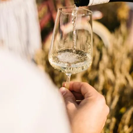 ホテル Weinzuhause Hotel-restaurant-vinothek 4*