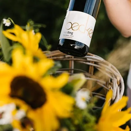 Weinzuhause Hotel-restaurant-vinothek