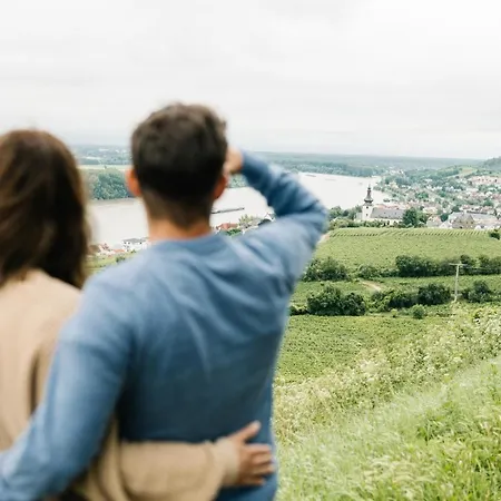 Weinzuhause Hotel-restaurant-vinothek Отель Mommenheim
