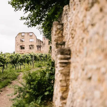 Отель Weinzuhause Hotel-restaurant-vinothek Mommenheim