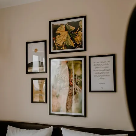 Weinzuhause Hotel-restaurant-vinothek Mommenheim