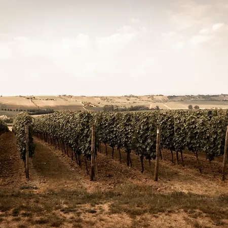 Weinzuhause Hotel-restaurant-vinothek Mommenheim