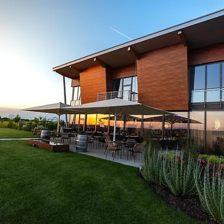 Weinzuhause Hotel-restaurant-vinothek 4* Mommenheim