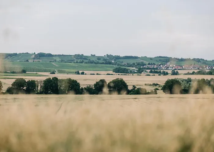 Weinzuhause Hotel-restaurant-vinothek Hotel Mommenheim