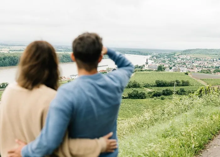 Weinzuhause Hotel-restaurant-vinothek Hotel Mommenheim