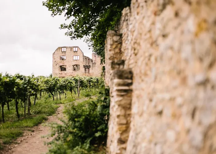 Hotel Weinzuhause Hotel-restaurant-vinothek Mommenheim