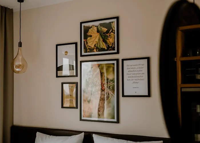 Weinzuhause Hotel-restaurant-vinothek Mommenheim