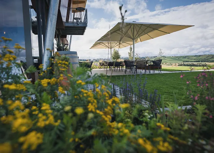 מלון Weinzuhause Hotel-restaurant-vinothek Mommenheim